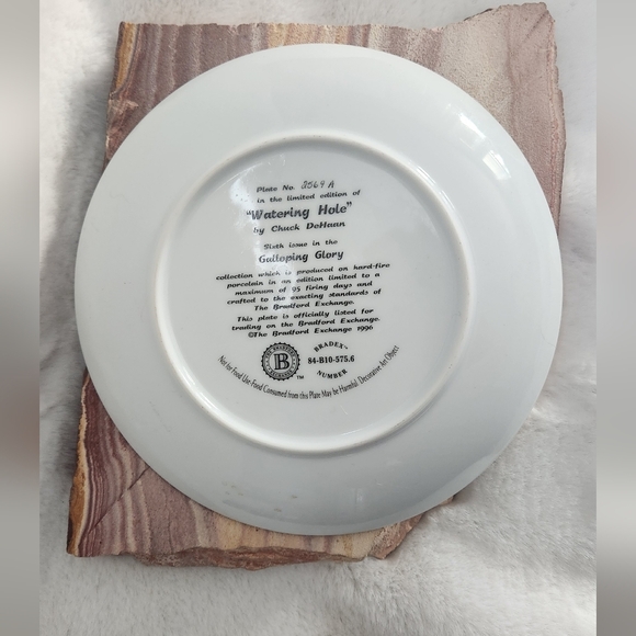 Bradford Exchange Horse plate "The watering hole" - Picture 2 of 4